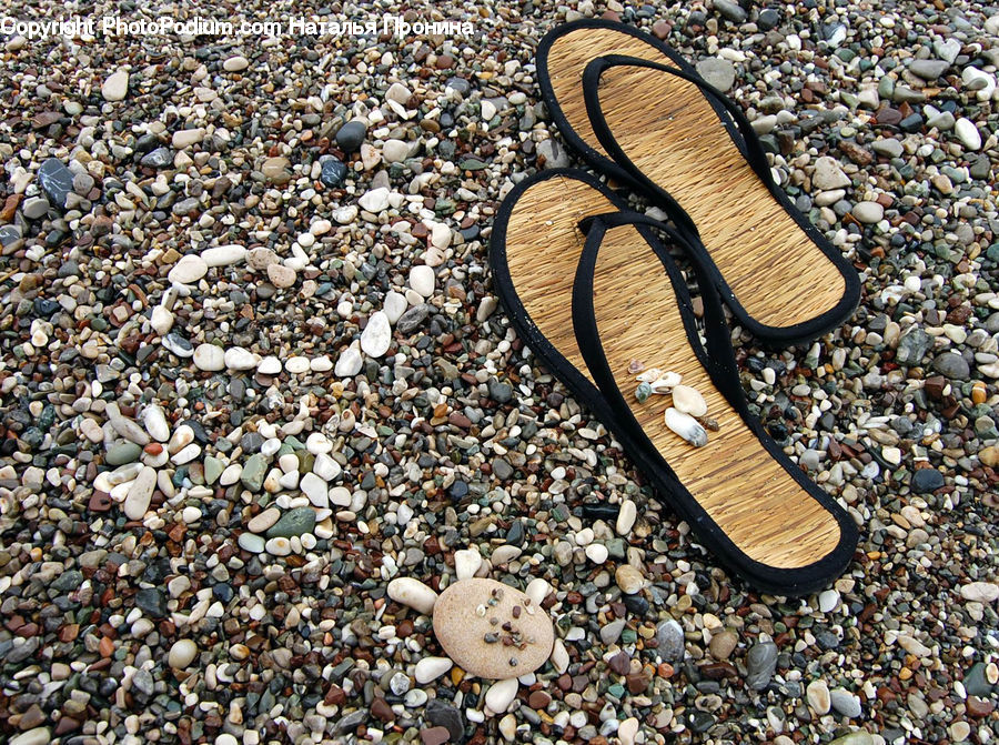 Pebble, Dirt Road, Gravel, Agaric, Mushroom, Plant, Footwear