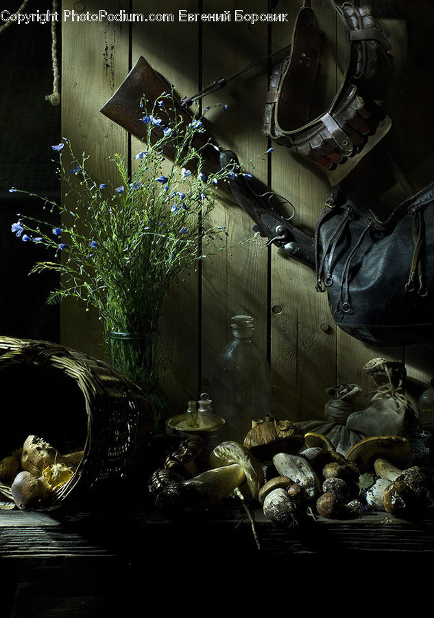 Plant, Potted Plant, Food, Seafood, Bird, Blue Jay, Bluebird