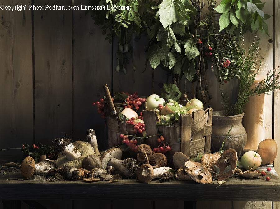 Garlic, Plant, Potted Plant, Produce, Vegetable, Floral Design, Flower