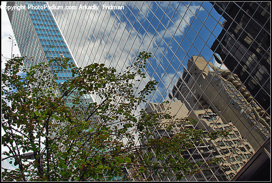 Construction, Scaffolding, Building, Housing, City, High Rise, Blossom