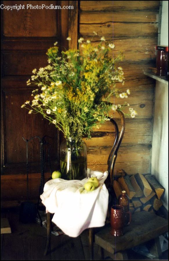 Plant, Potted Plant, People, Person, Human, Dill, Chair