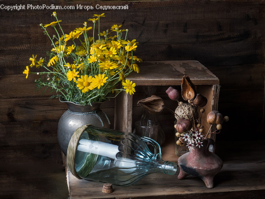 Plant, Potted Plant, Vine, Flower Arrangement, Ikebana, Vase, Glass