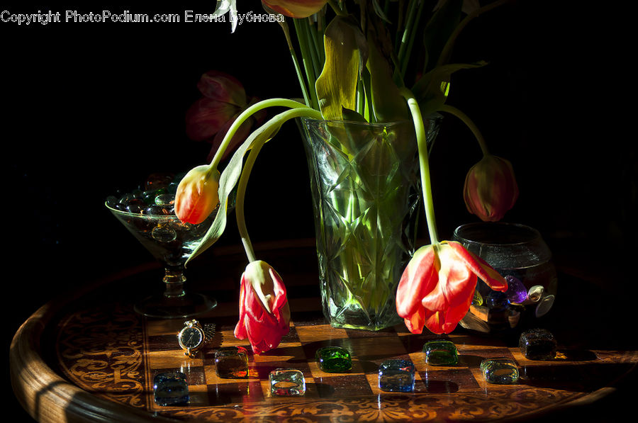 Glass, Goblet, People, Person, Human, Alcohol, Beverage