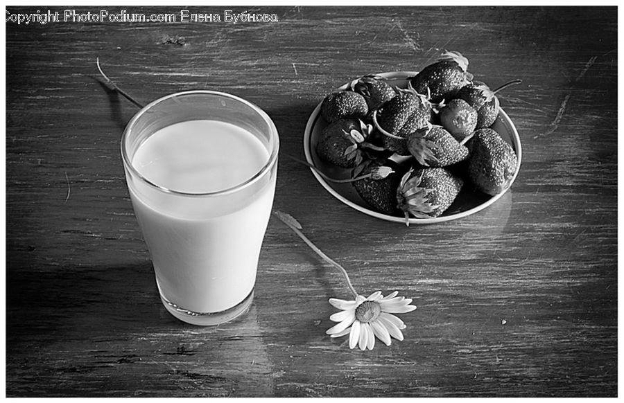 Beverage, Drink, Flower, Lily, Plant, Pond Lily, Cup