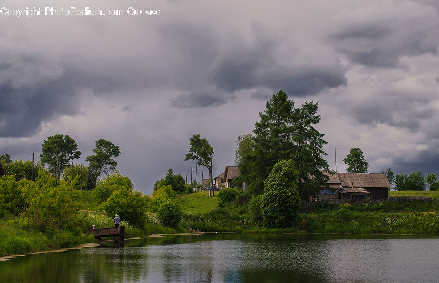 Outdoors, Storm, Weather, Plant, Tree, Cloud, Cumulus