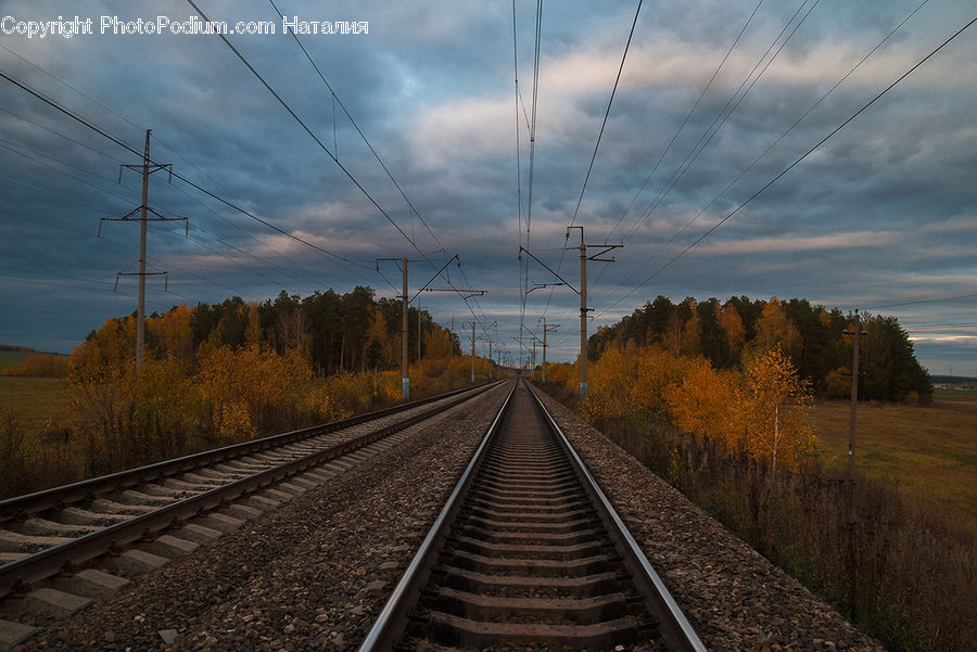 Rail, Train Track, Road, Dirt Road, Gravel
