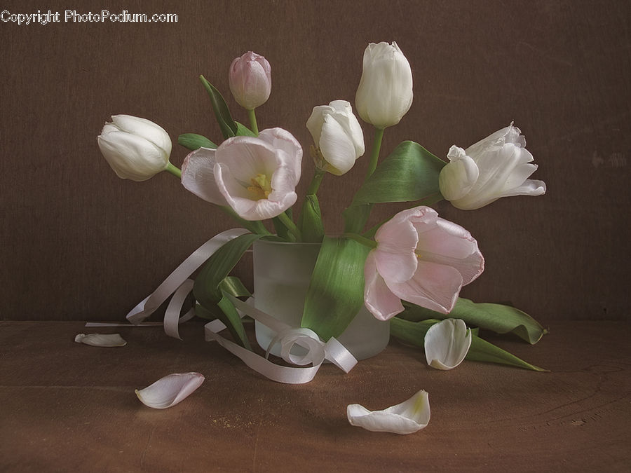 Floral Design, Flower, Flower Arrangement, Flower Bouquet, Ikebana, Plant, Potted Plant