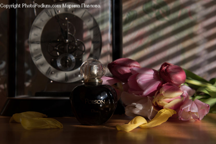 Perfume, Blossom, Flora, Flower, Petal, Plant, Flower Arrangement