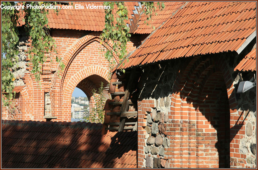 Brick, Ivy, Plant, Vine, Arch, Wood, Fence