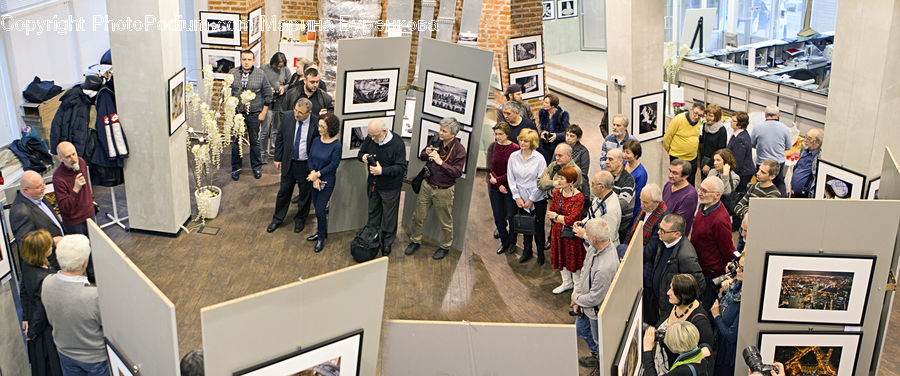 People, Person, Human, Crowd, Art, Art Gallery, Collage