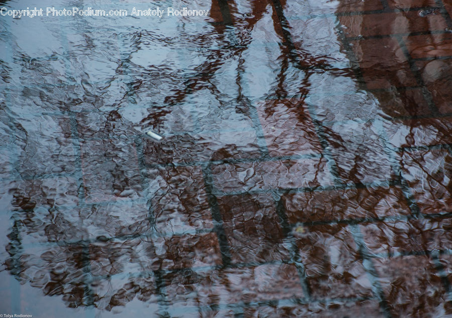 Pavement, Outdoors, Ripple, Water, Cobblestone, Walkway, Flagstone