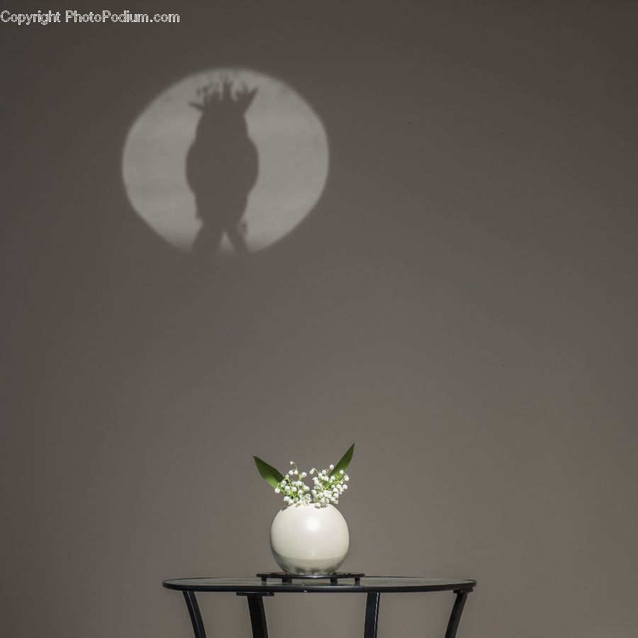 Jar, Porcelain, Vase, Silhouette, Plant, Potted Plant, Shelf