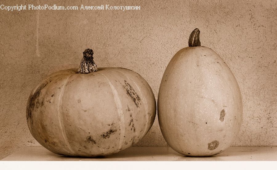Jar, Pot, Urn, Vase, Squash, Vegetable