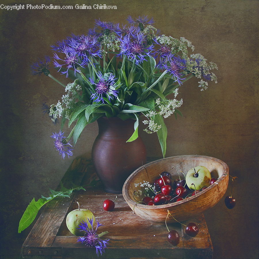 Plant, Potted Plant, Bowl, Floral Design, Flower, Flower Arrangement, Flower Bouquet