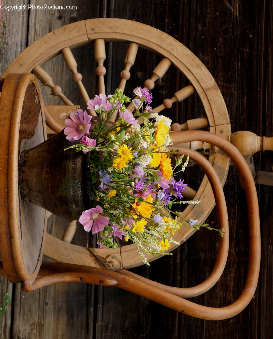 Watering Can, Plant, Potted Plant, Flower Arrangement, Ikebana, Vase, Flower