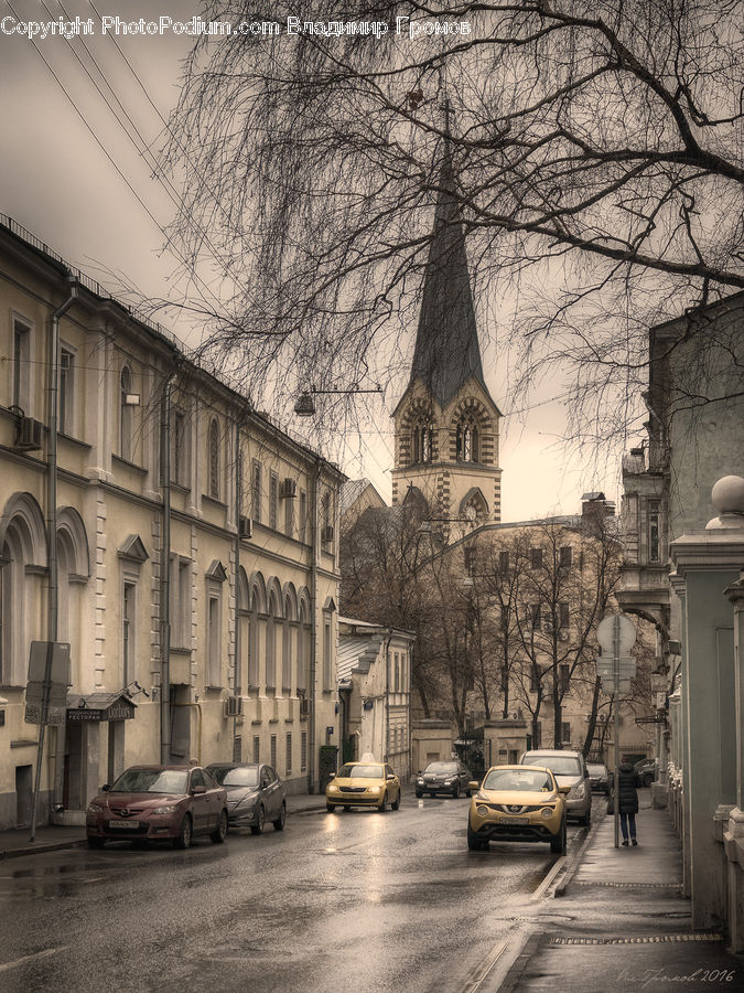 Automobile, Car, Vehicle, City, Downtown, Building, Town