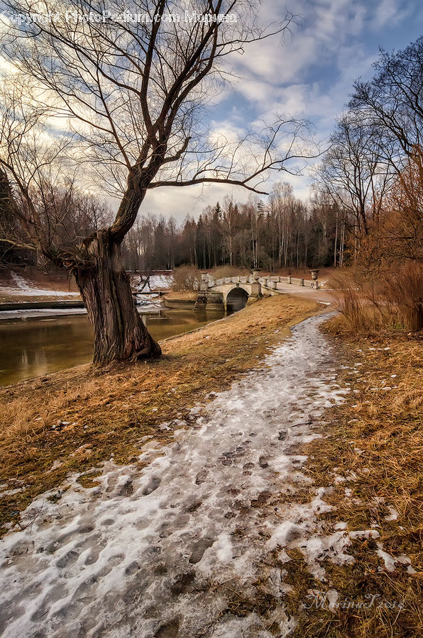 Flood, Dirt Road, Gravel, Road, Path, Trail, Forest