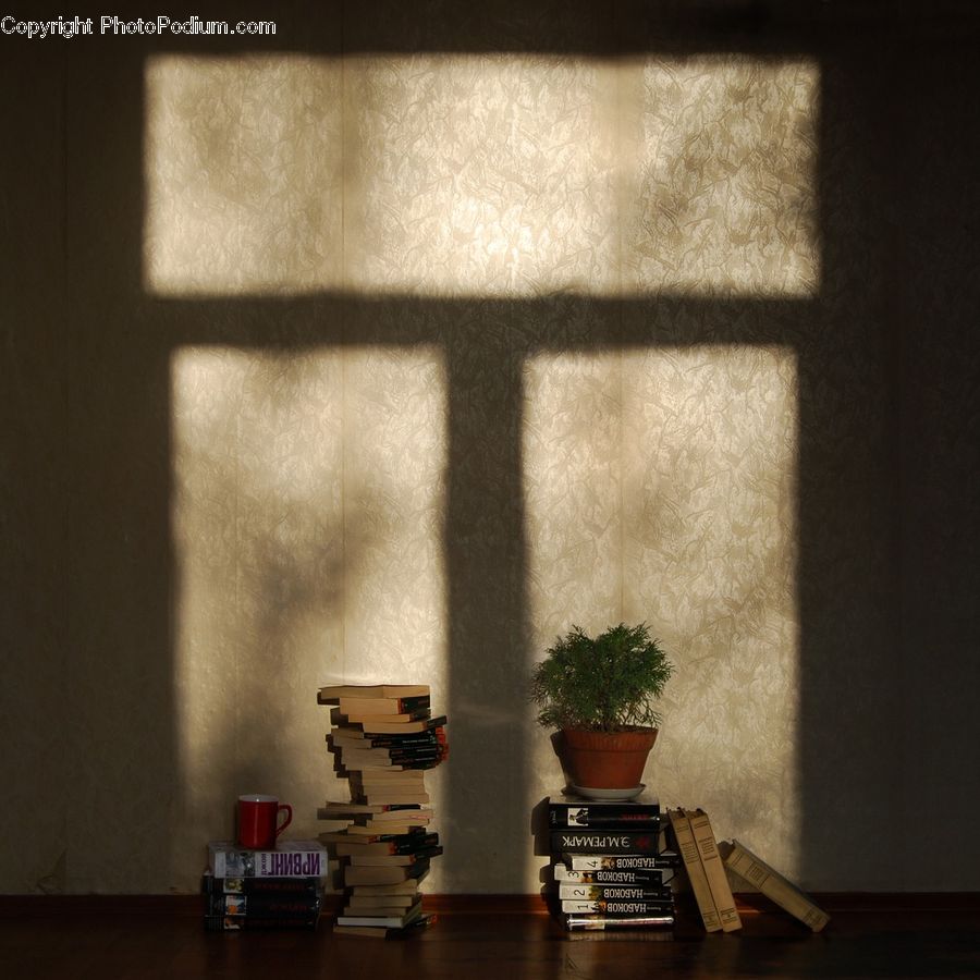 Plant, Potted Plant, Pot, Pottery, Bonsai, Tree, Blanket