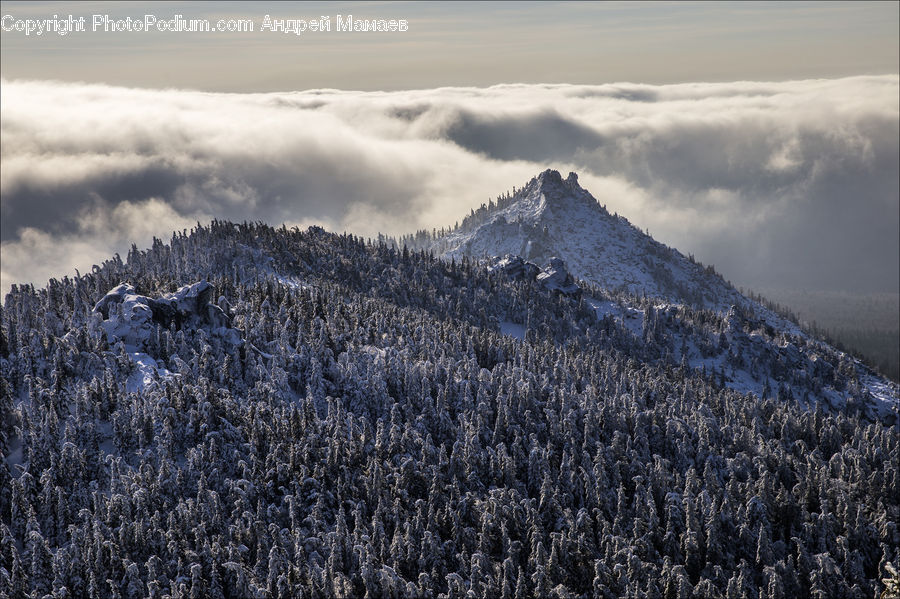 Mountain, Mountain Range, Outdoors, Crest, Peak, Conifer, Fir