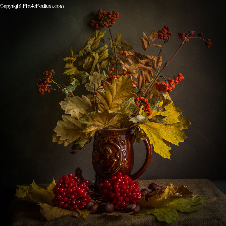 Fruit, Pomegranate, Raspberry, Flower, Flower Arrangement, Flower Bouquet, Floral Design