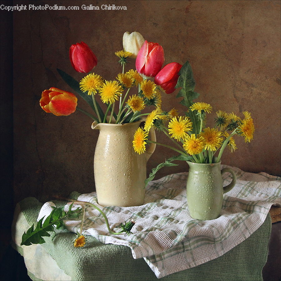 Plant, Potted Plant, Glass, Goblet, Jar, Porcelain, Vase
