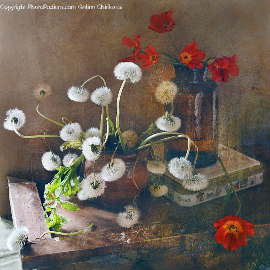 Dandelion, Flower, Plant, Floral Design, Flower Arrangement, Flower Bouquet, Ikebana