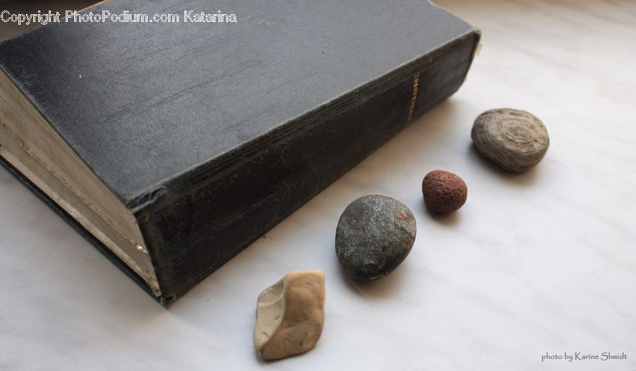 Food, Nut, Seed, Walnut, Coffee Table, Furniture, Table