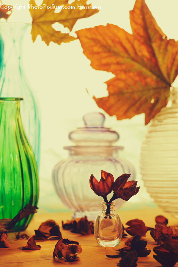 Glass, Goblet, Blossom, Flora, Flower, Geranium, Plant