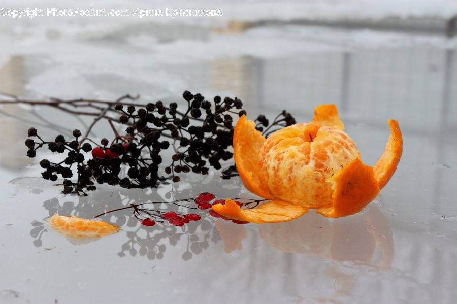 Citrus Fruit, Fruit, Grapefruit, Dessert, Food, Pastry