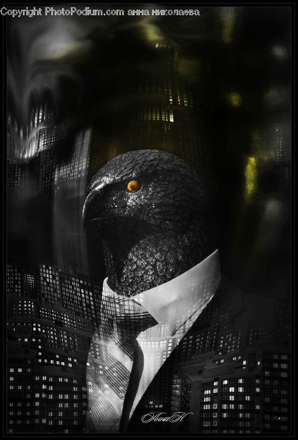 Beak, Bird, City, Downtown, Urban, Lighting, Brochure