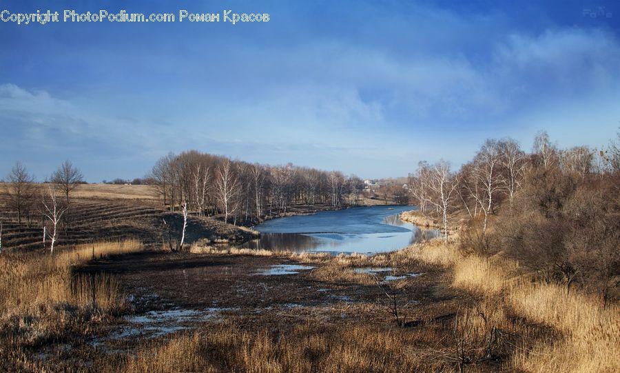 Land, Marsh, Outdoors, Swamp, Water, Field, Grass