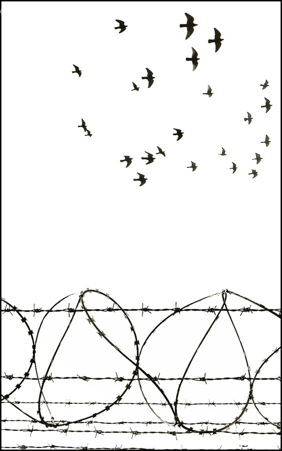 Silhouette, Text, Diagram, Plan, Aircraft, Airplane, Jet