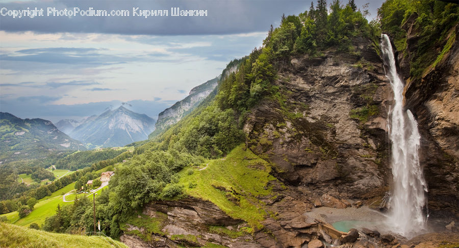 Forest, Jungle, Rainforest, Vegetation, Cliff, Outdoors, Nature