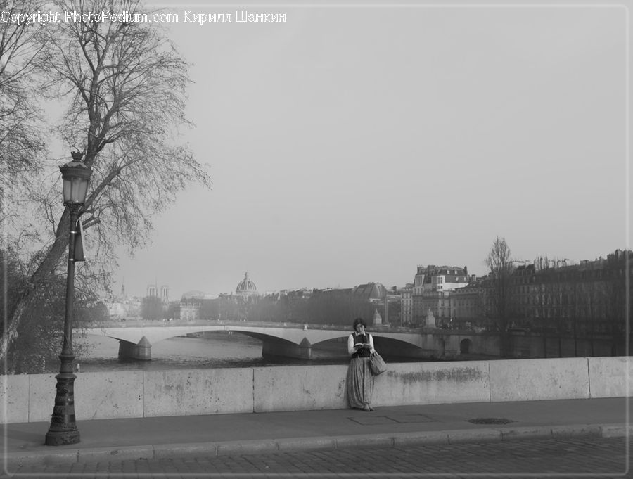 Bridge, City, Downtown, Urban, Plant, Tree