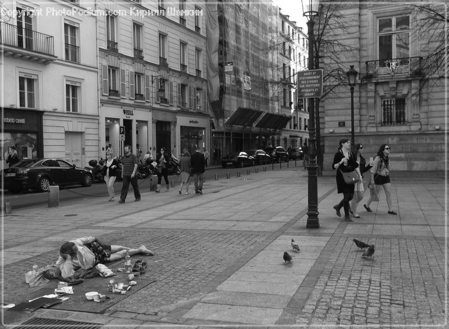 People, Person, Human, Picnic, City, Downtown, Urban
