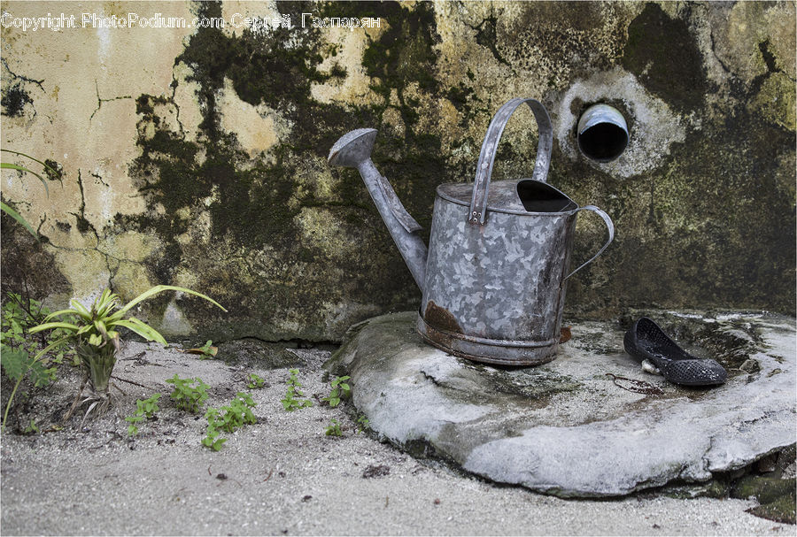 Axe, Footwear, Shoe, Plant, Blossom, Flora, Flower