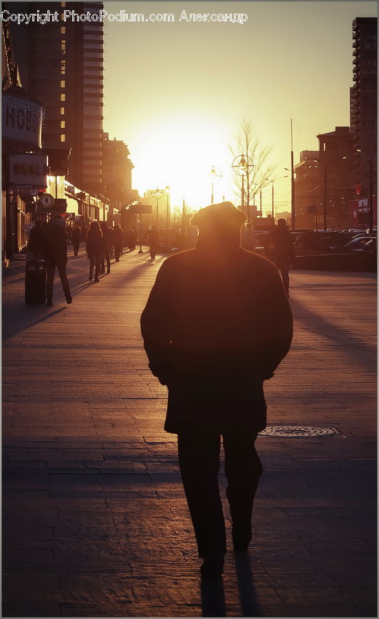 People, Person, Human, Plant, Potted Plant, Pedestrian, Asphalt