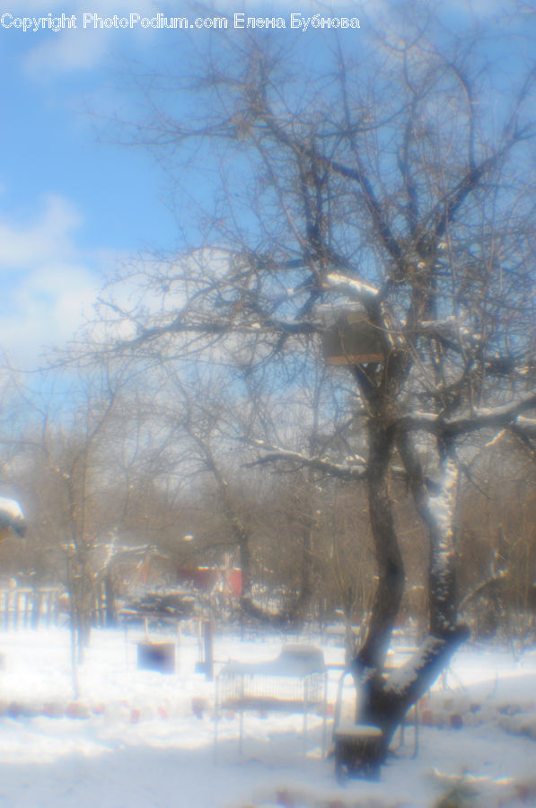 Blizzard, Outdoors, Snow, Weather, Winter, Landscape, Nature