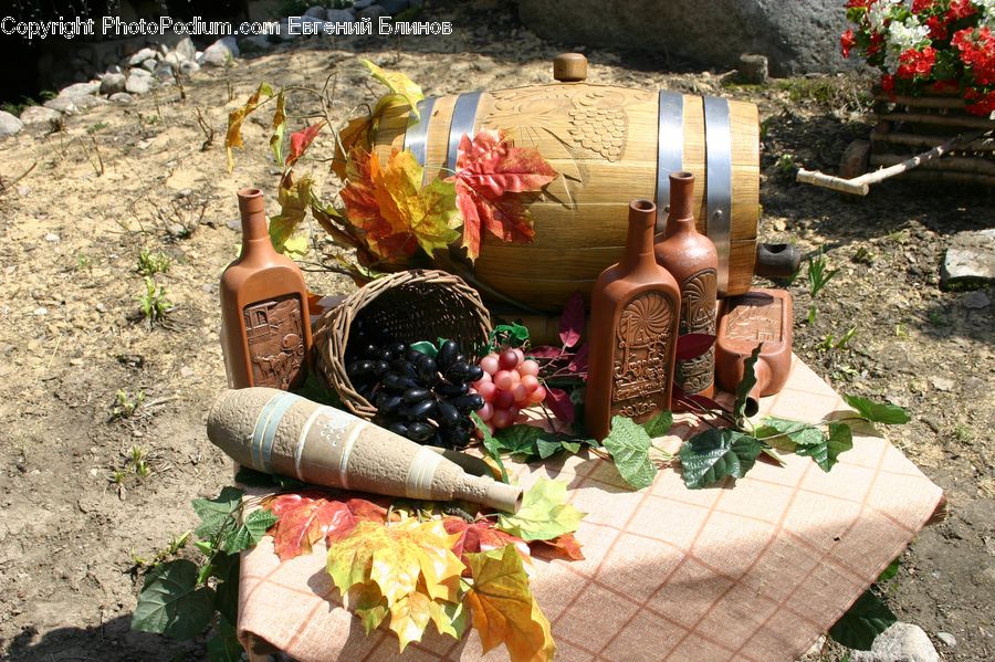 Ivy, Plant, Vine, Bottle, Pot, Pottery, Art