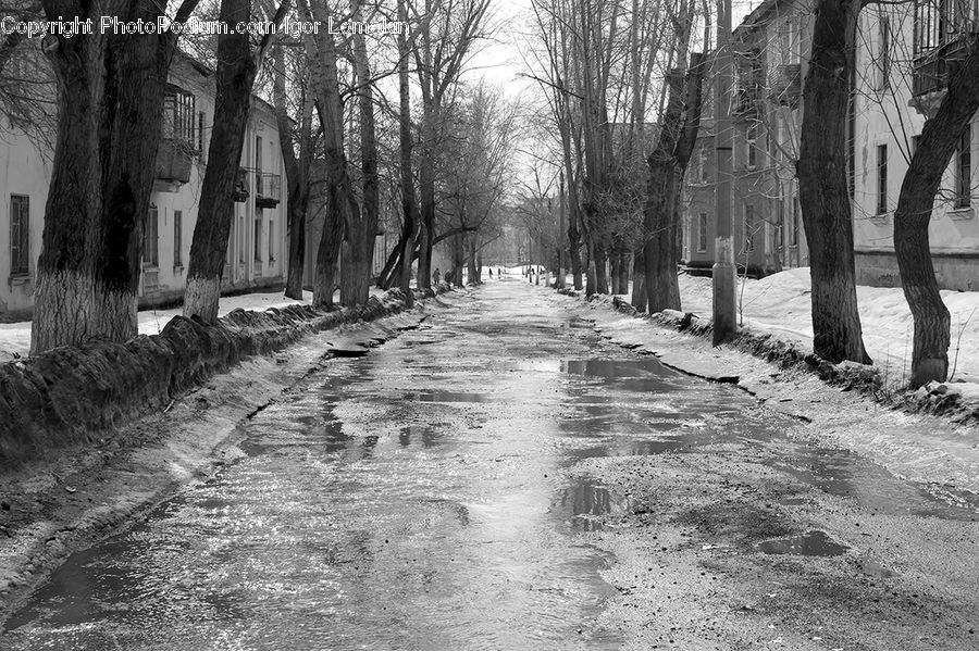 Path, Trail, Alley, Alleyway, Road, Street, Town