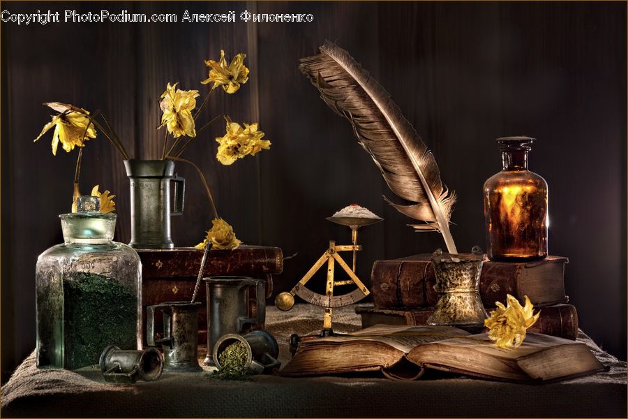 Blossom, Daffodil, Flora, Flower, Plant, Flower Arrangement, Ikebana