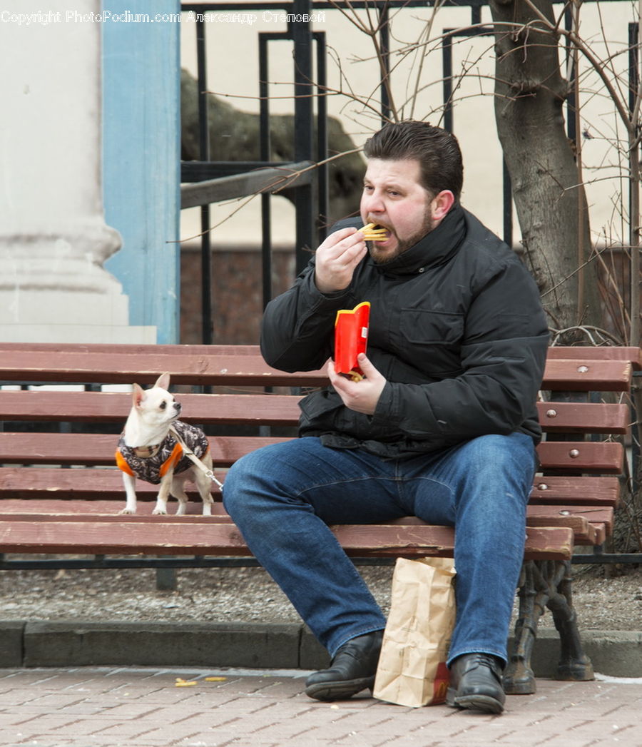 People, Person, Human, Asleep, Boot, Shoe, Beverage