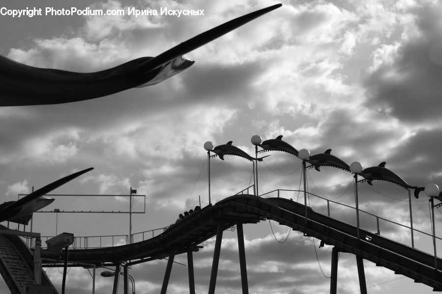 Bridge, Dock, Pier, Silhouette, Bird, Seagull, Outdoors
