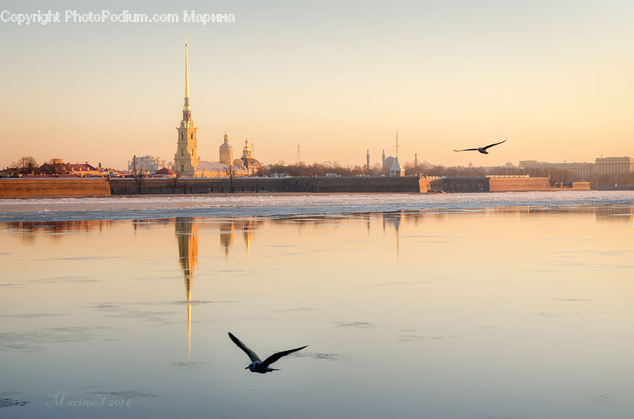 Architecture, Spire, Steeple, Tower, City, Downtown, Bird