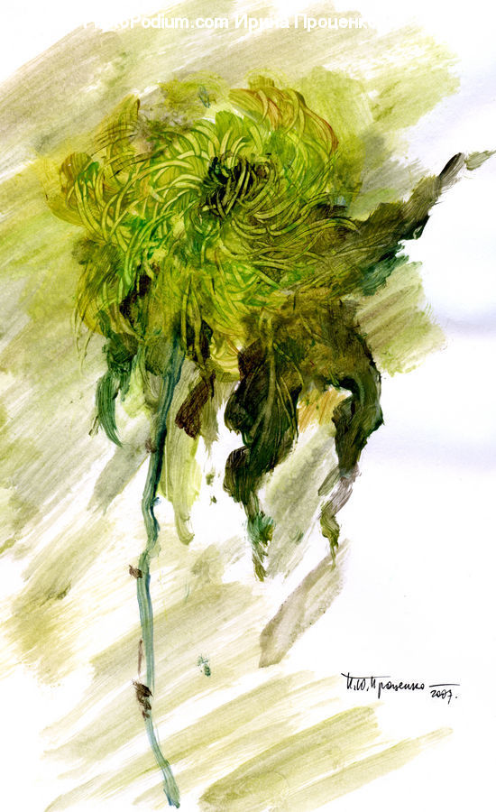 Dill, Plant, Moss