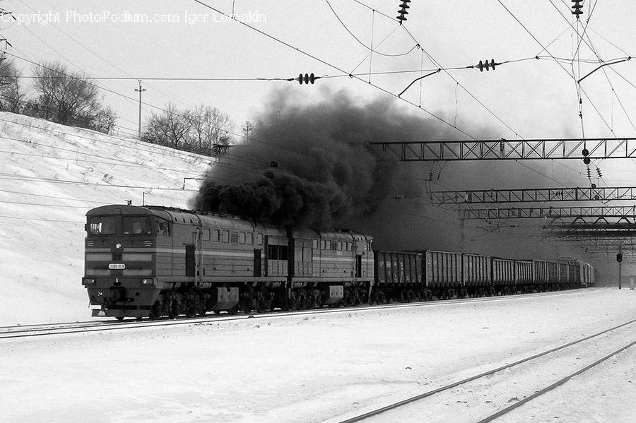 Train, Vehicle, Passenger Car, Rail, Train Track, Freight Car, Shipping Container