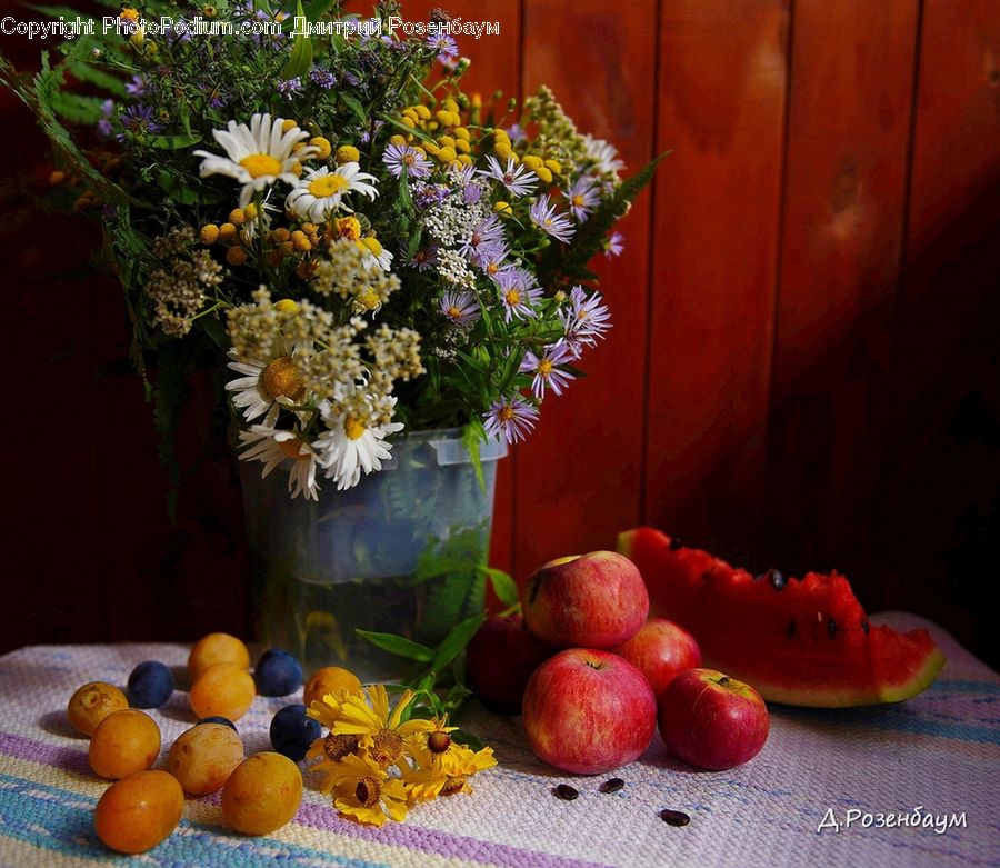 Plant, Potted Plant, Aster, Blossom, Flower, Glass, Goblet