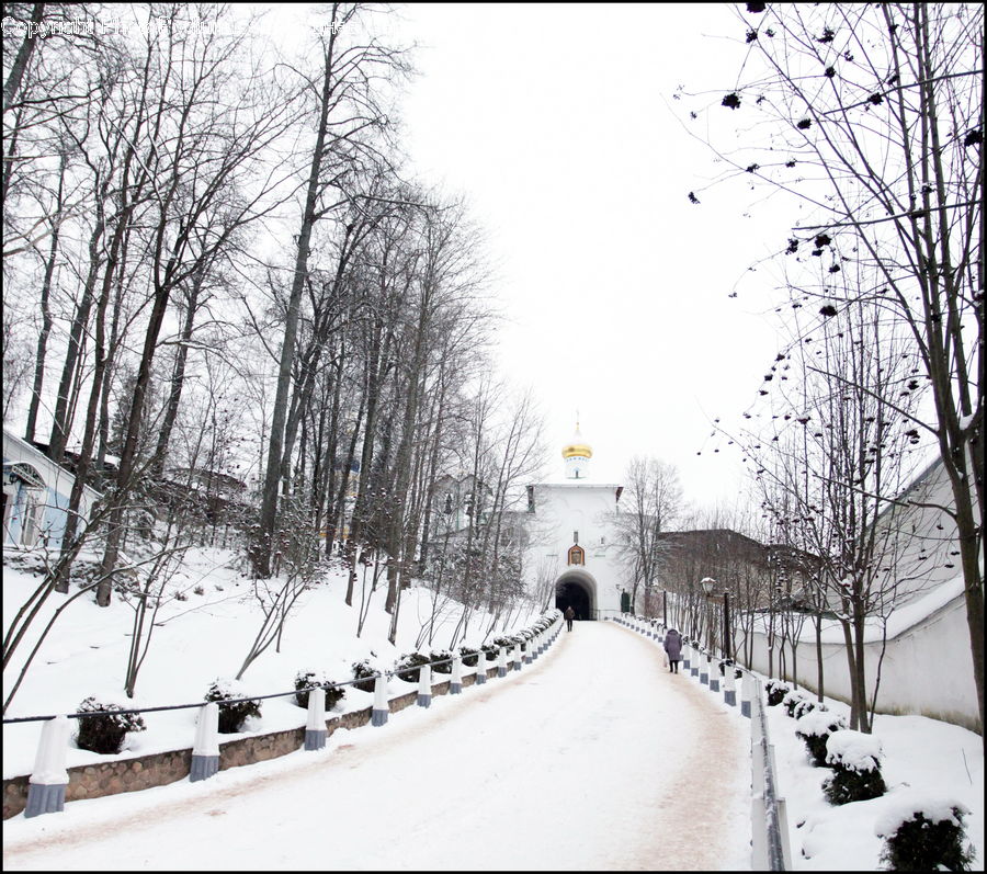 Ice, Outdoors, Snow, Road, Boardwalk, Path, Pavement