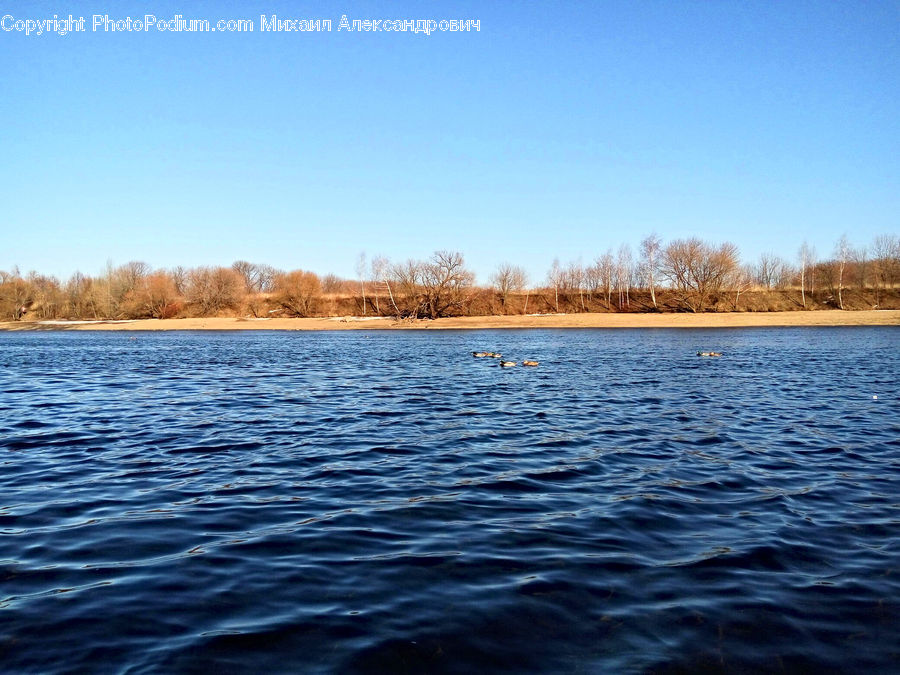 Water, Lake, Outdoors, Field, Grass, Grassland, Plant