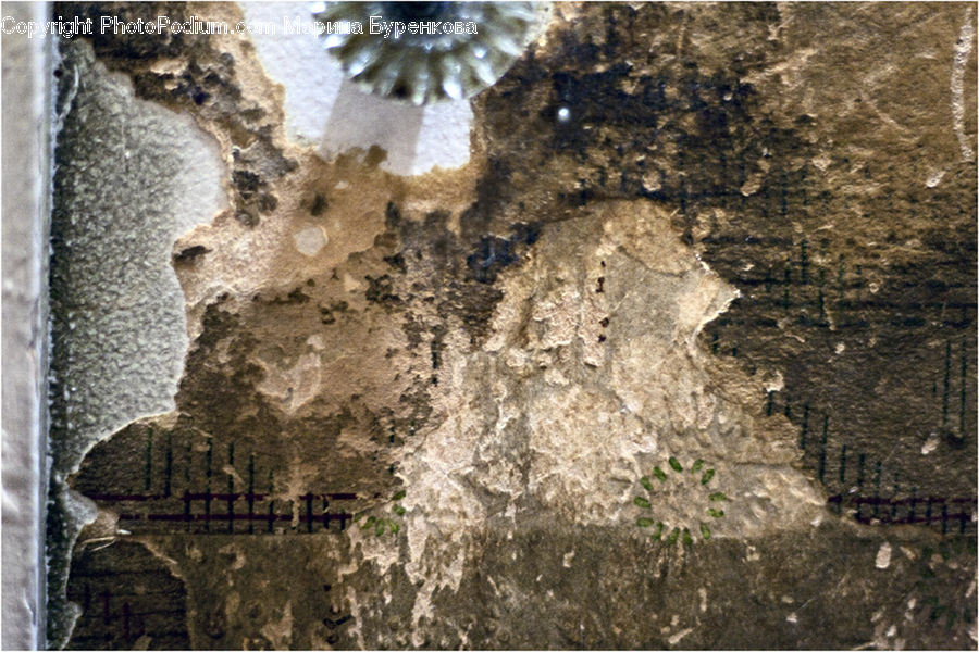 Ruins, Crypt, Rubble, Plant, Vegetation